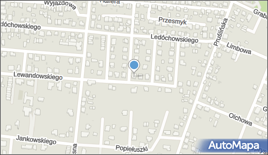 250443034, Praktyka Lekarska Radosław Biela 