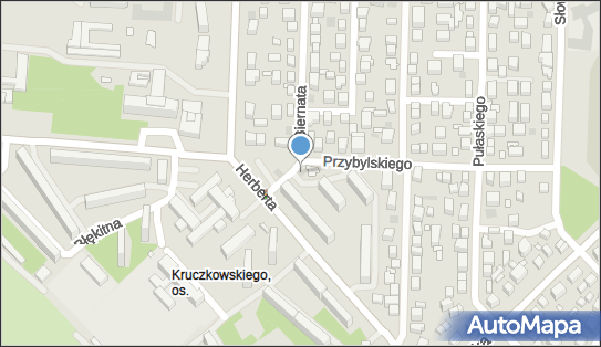 7141018945, Praktyka Specjalistyczna Lekarska w Miejscu Wezwania Lech Ciechański 