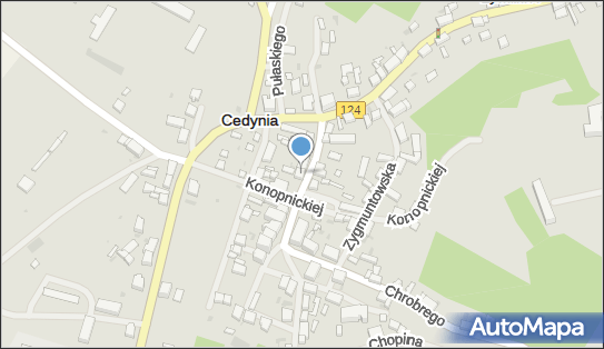 Prasą i Innymi Artykułami Przemysłowymi, Cedynia 74-520 - Przedsiębiorstwo, Firma, NIP: 8581001412