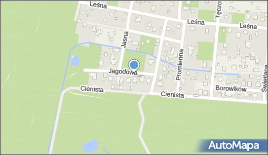 Predicto Joanna Kwiatkowska, ul. Jagodowa 5, Zalesie Górne 05-540 - Przedsiębiorstwo, Firma, NIP: 5221572186