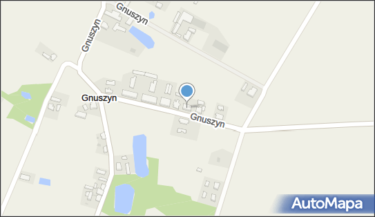 Prędki Benedykt Przewozy Autobusowe, Gnuszyn 24, Gnuszyn 64-412 - Przedsiębiorstwo, Firma, NIP: 7871464574