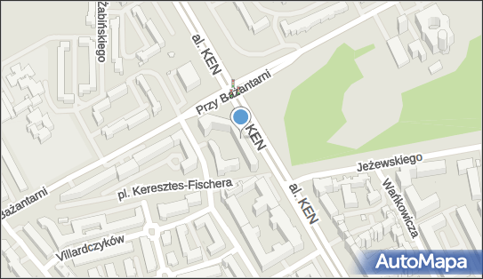 1132865022, Premium Fleet sp. z o.o. 