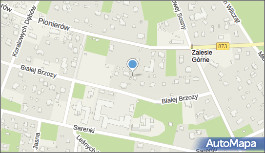 1231028393, Finanse Paweł Barczuk 