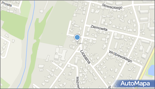 Pro Info, ul. Romualda Traugutta 42, Sochaczew 96-500 - Przedsiębiorstwo, Firma, numer telefonu, NIP: 5321816512