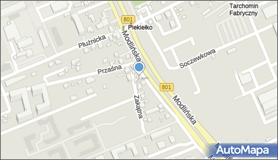 Pro Skippers Group, ul. Modlińska 91, Warszawa 03-199 - Przedsiębiorstwo, Firma, numer telefonu, NIP: 6772354333