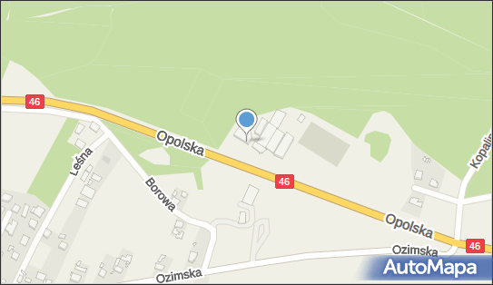 Pro Sport Wiesław Czarnik, Opolska 15, Chrząstowice 46-053 - Przedsiębiorstwo, Firma, NIP: 9910414157