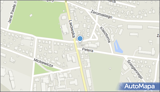 Prodent Tech, ul. Janusza Petera 1, Tomaszów Lubelski 22-600 - Przedsiębiorstwo, Firma, NIP: 9211211046