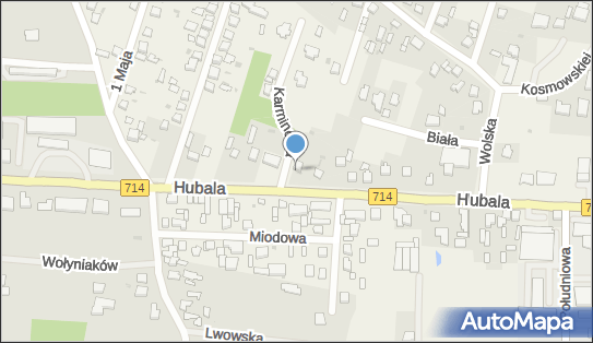Produkcja Kwiatów Ryszard Witmajer, ul. mjr. Hubala 15 95-054 - Przedsiębiorstwo, Firma, numer telefonu, NIP: 7311185034