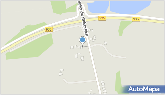 6381280435, Jurga Stefania Produkcja Napojów w Woreczkach Foliowych 