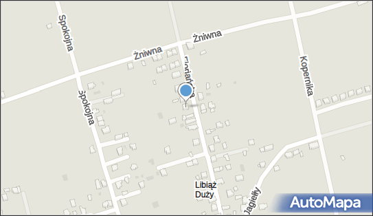 6281003222, Produkcja Zabawek Drewnianych Bogusław Latko 