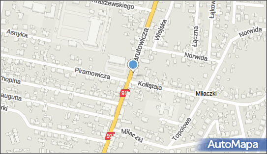 Produkty Naftowe Artykuły Spożywcze i Przemysłowe, Radomsko 97-500 - Przedsiębiorstwo, Firma, NIP: 7721019068
