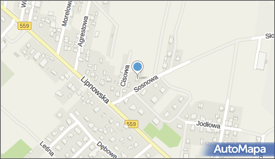 Prog.Raf Rafał Sosnowski, ul. Sosnowa 3, Maszewo Duże 09-400 - Przedsiębiorstwo, Firma, NIP: 9710522310