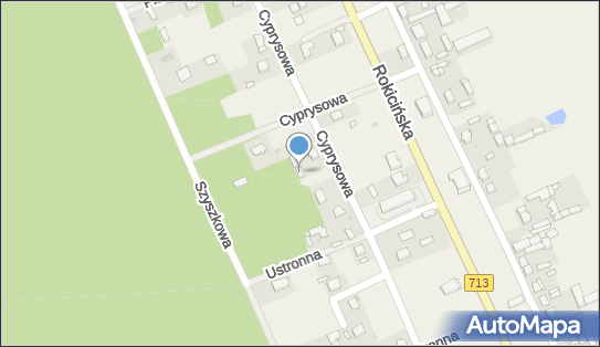 Projecon Maciej Ziółek, ul. Cyprysowa 31, Kraszew 95-020 - Przedsiębiorstwo, Firma, NIP: 9482306468