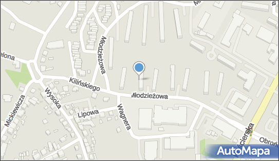 Projektowanie i Nadzorowanie Robót Drogowych, ul. Młodzieżowa 21 89-604 - Przedsiębiorstwo, Firma, NIP: 5551013484