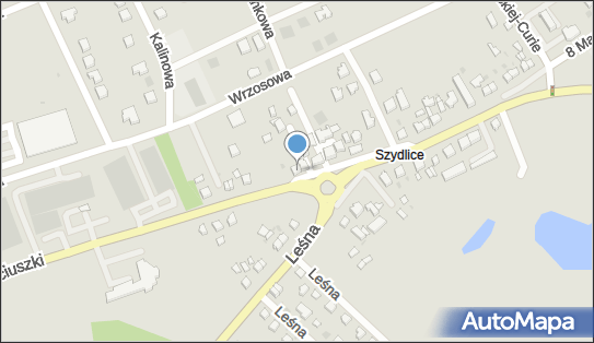 5911206795, Agencja Artystyczna 