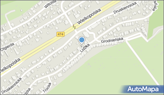 5861754973, Iwona Winiszewska, 'Promesa 