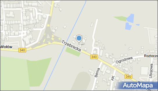 Promet Łukasz Borzyński, Trzebnicka 17a, Wołów 56-100 - Przedsiębiorstwo, Firma, NIP: 9880227449
