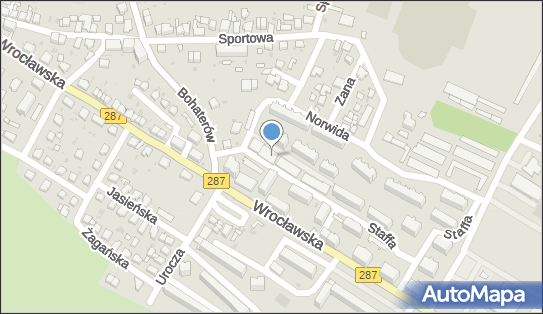 Prowadzenie Praktycznej Nauki Jazdy, ul. Leopolda Staffa 3, Lubsko 68-300 - Przedsiębiorstwo, Firma, NIP: 9281307107