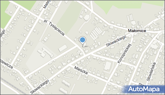 9241848096, Prywatna Praktyka Lekarska Anna Kieża 