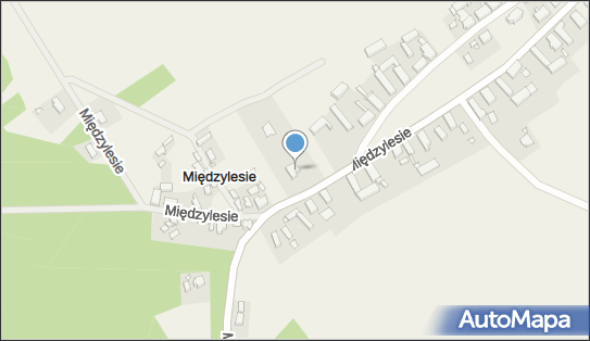 Prywatna Praktyka Lekarska Neurolog, Międzylesie 31, Międzylesie 66-213 - Przedsiębiorstwo, Firma, NIP: 2220527710