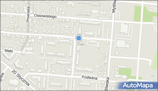 Prywatna Praktyka Lekarska, ul. Dolna 29, Pabianice 95-200 - Przedsiębiorstwo, Firma, NIP: 9161318798