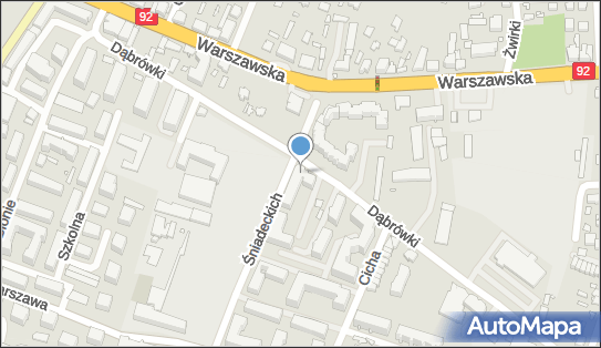 Prywatna Praktyka Lekarska, Dąbrówki 12, Mińsk Mazowiecki 05-300 - Przedsiębiorstwo, Firma, NIP: 8221499657