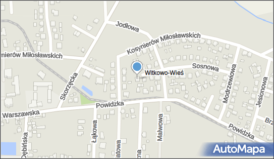 6171050692, Prywatna Praktyka Lekarska Irena Grześkowiak 