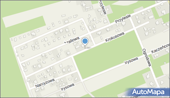 7282820538, Prywatna Praktyka Optometryczna Aleksandra Zamęcka 