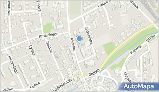 Prywatne Wizyty Lekarskie, ul. Jana Pieloka 14, Olesno 46-300 - Przedsiębiorstwo, Firma, numer telefonu, NIP: 5761334065