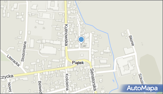 Prywatny Gabinet Lekarski Choroby Wewnętrzne, Rynek 15, Piątek 99-120 - Przedsiębiorstwo, Firma, NIP: 7751316581
