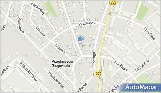 6911122998, Prywatny Gabinet Lekarski Elżbieta Wilska Neurolog 