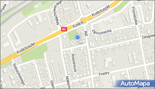 Prywatny Gabinet Lekarski Lek Med Internista, ul. Robotnicza 16 A 40-689 - Przedsiębiorstwo, Firma, NIP: 9541478143