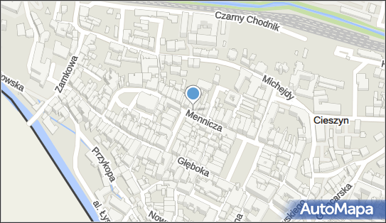 Prywatny Gabinet Lekarski Specjalista Psychiatra, Mennicza 20 43-400 - Przedsiębiorstwo, Firma, NIP: 5481199608