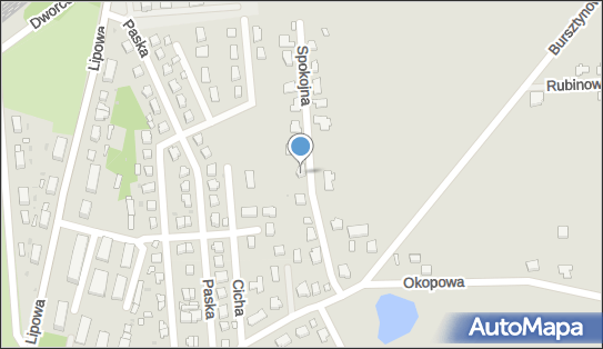 Prywatny Gabinet Pediatryczny Wizyty Domowe, Spokojna 7, Sulęcin 69-200 - Przedsiębiorstwo, Firma, NIP: 5961289961