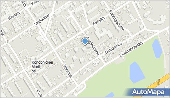 6181372581, Prywatny Przewóz Osób 