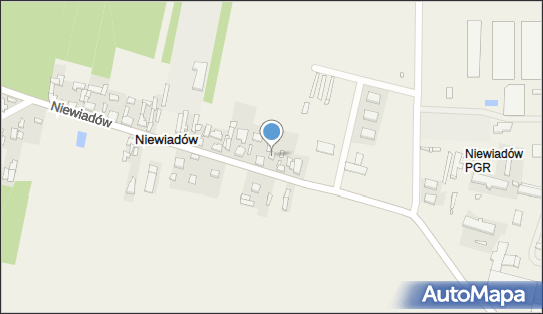 Prywatny Punkt Apteczny Parol Danuta, os. NIEWIADÓW BL.4, Ujazd 97-170 - Przedsiębiorstwo, Firma, NIP: 7731006966
