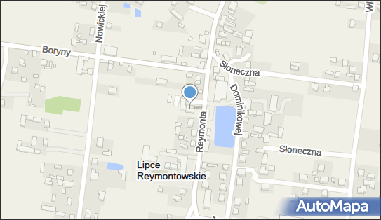 8331062393, Prywatny Punkt Apteczny Jolanta Pryk - Właściciel 