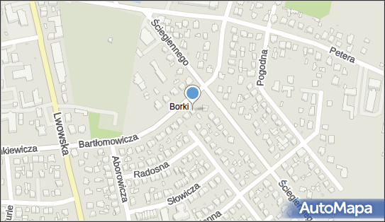 9211271930, Prywatny Specjalistyczny Gabinet Lekarski Lesław Panas 
