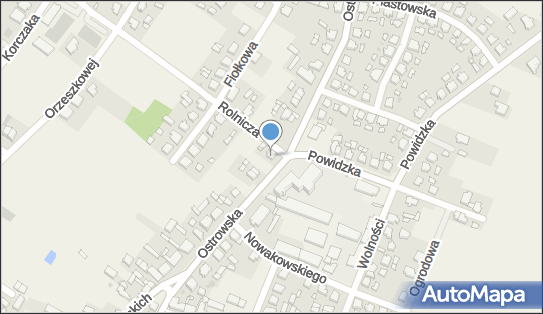 Prze-Mar Przemysław Marcinkowski, Ostrowska 15, Strzałkowo 62-420 - Przedsiębiorstwo, Firma, NIP: 6671541921