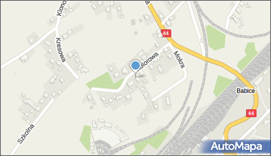 5491006953, przed.Handl.Usługowe Spółka C.