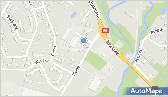 170237919, Przeds.Handlowe 