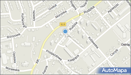 6391064561, Przeds.Handlowe 