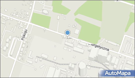 6251007161, Przeds.Handlowo-Usługowo-Produkcyjne 