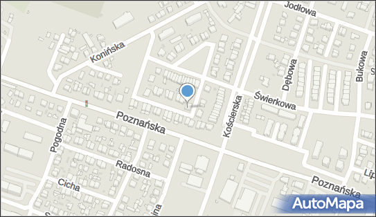 Przeds Handlowo Usługowo Produkcyjne Transor, os. Wyzwolenia 8 62-045 - Przedsiębiorstwo, Firma, NIP: 7871000308