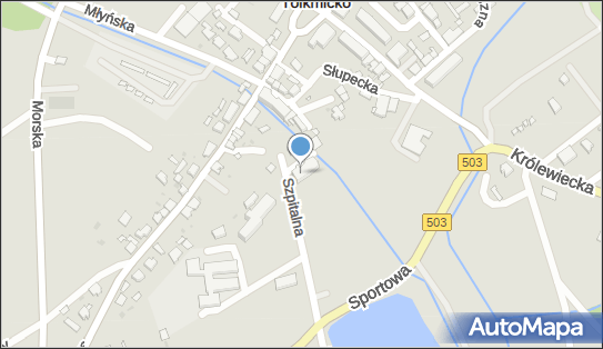 170394286, Przeds.Prod.Handl.Usł.Transport.Import-Export 
