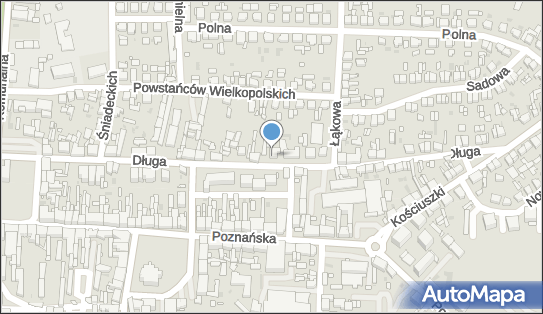Przeds Produkcyjno Handlowo Usługowe Amtrak, Długa 33 64-300 - Przedsiębiorstwo, Firma, NIP: 7881004153