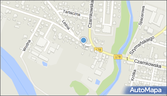 Przeds Produkcyjno Usługowo Handlowe Argus, Obrzycka 3, Oborniki 64-600 - Przedsiębiorstwo, Firma, NIP: 7870011095