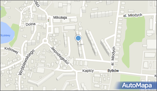 9540009050, Przeds.Systemów Komputerowych 