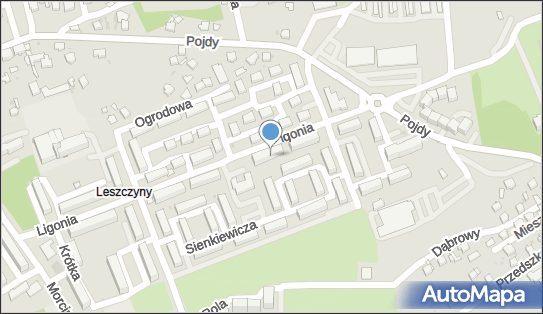 Przeds Usługowo Handlowe Antro, Ligonia 5a, Czerwionka-Leszczyny 44-238 - Przedsiębiorstwo, Firma, NIP: 6420028563