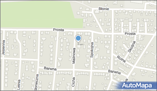 Przedsiębiorstwo Dar Pol, ul. Malinowa 3, Solec Kujawski 86-050 - Przedsiębiorstwo, Firma, NIP: 9531334589